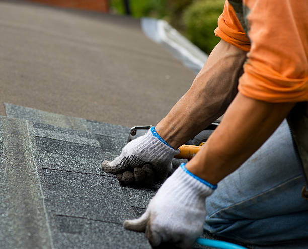 Best Storm Damage Roof Repair  in Jasper, TN